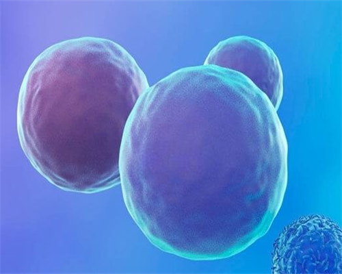 东莞东华医院试管婴儿多少钱?听说免费?