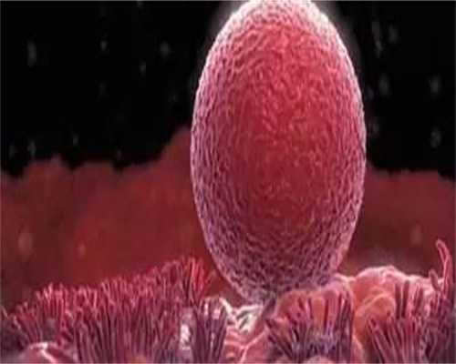 在武汉怎么找供卵机构 武汉大学中南医院三代试管胚胎筛查是怎样收费的? ‘