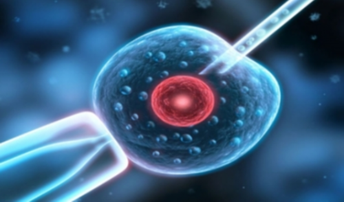 东莞子宫腺肌症最好的医院,东莞上户口亲子鉴定多少钱？（2026价格明细）