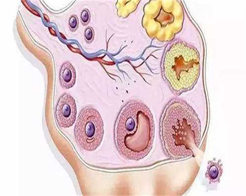 天津最权威的试管医院-北京最有名的不孕不育医院是哪家?