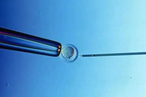 东莞试管婴儿成功率是多少,如何提高东莞市第三代试管婴儿的成功率?