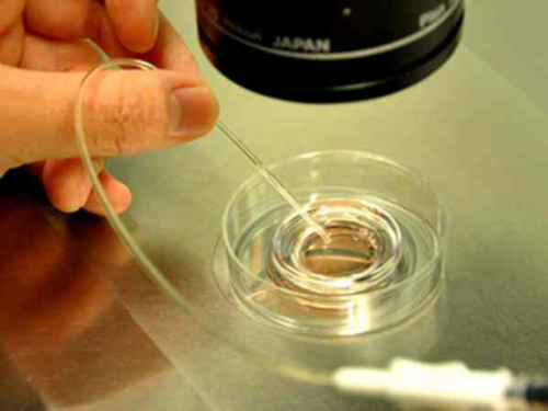 东莞康健妇婴医院3万包成功是真的吗？,东莞试管婴儿成功率高吗