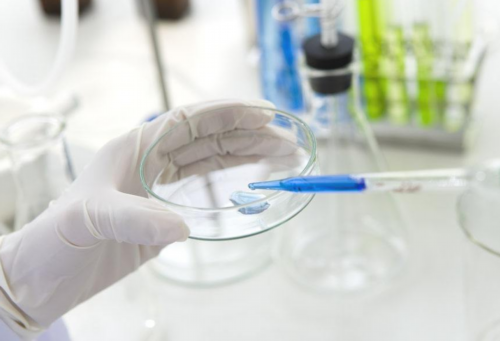 东莞哪家医院支持三代试管生男孩吗?,2026东莞协和医院有卵子库吗?