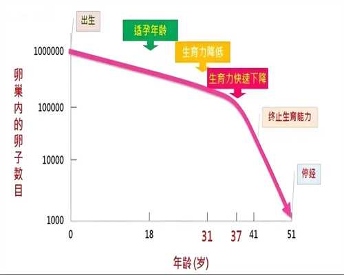 东莞私立医院试管婴儿成功率一览