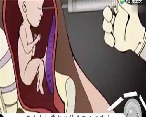 广州代怀网怎么样,广州代怀网介绍