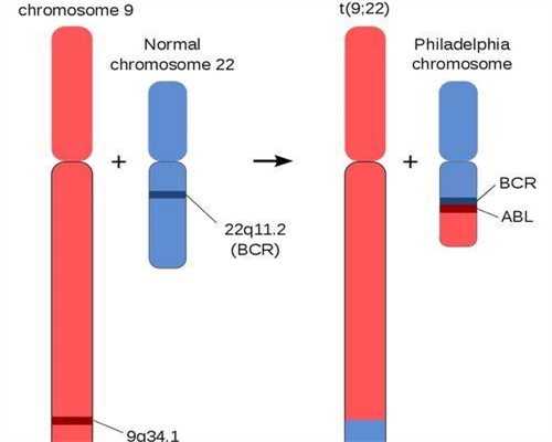 东莞三代试管医院:专业且价格合理?,东莞新生儿办理户口所需材料