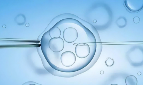 东莞大学医院?,输卵管切除东莞人民医院做试管婴儿费用要多少?