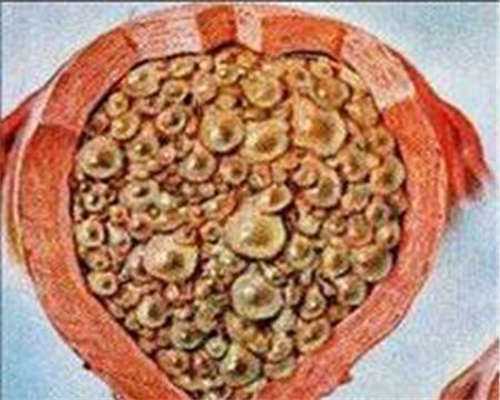 东莞做试管婴儿多少钱,东莞试管婴儿医院排行榜榜单详细这里有