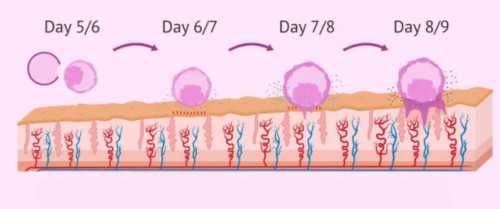 东莞三代试管机构排名大公开，费用及成功率一览