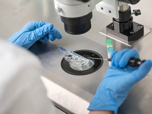 卵泡萎缩内膜会不会变厚