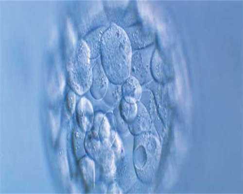 供卵代孕机构-东莞第三代试管婴儿成功率有多大?