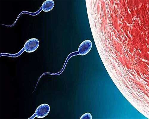 东莞试管包生男孩是真的吗?,去东莞做试管划算吗?大概要花多少钱