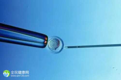 合法试管代怀-东莞私立第三代试管机构选助孕医院指南:详解各机构收费情况