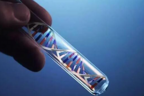 东莞做试管婴儿大概需要多少钱?,东莞市试管婴儿医院,试管婴儿的成功率是多