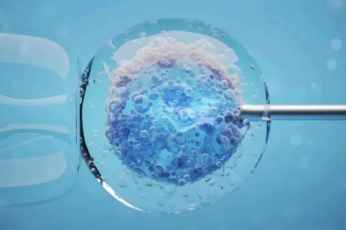 不孕不育检查大概需多少钱?