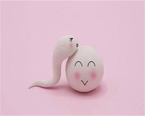 广州哪里找助孕,广州找助孕一般多钱？