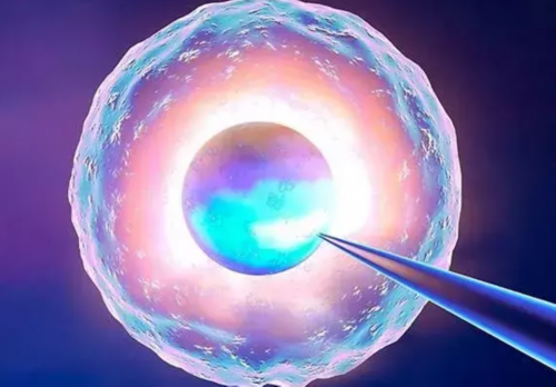 广州哪里有专业供卵试管医院,广州哪家医院的借卵试管技术较为专业？